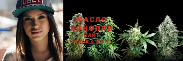 spice Михайлов