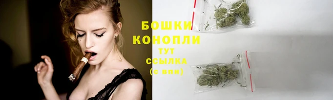 spice Михайлов