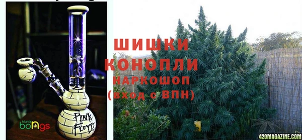 spice Михайлов