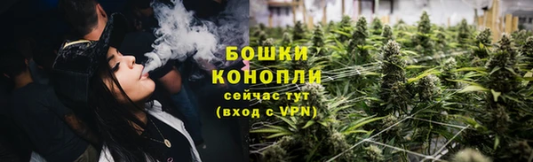 spice Михайлов