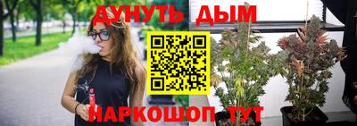 Альфа ПВП Беслан