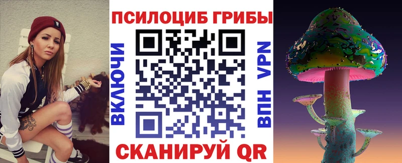 Псилоцибиновые грибы MAGIC MUSHROOMS  как найти наркотики  KRAKEN ссылка  Тара 