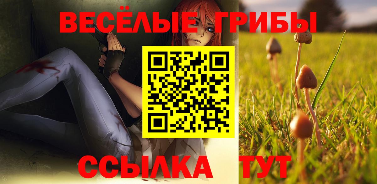 Галлюциногенные грибы Psilocybe Тара