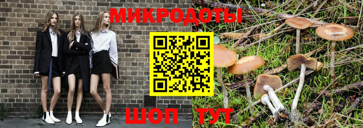 Псилоцибиновые грибы Psilocybine cubensis  Тара 